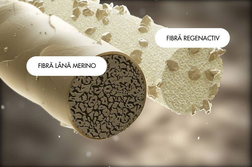 fibra Bmax Merino