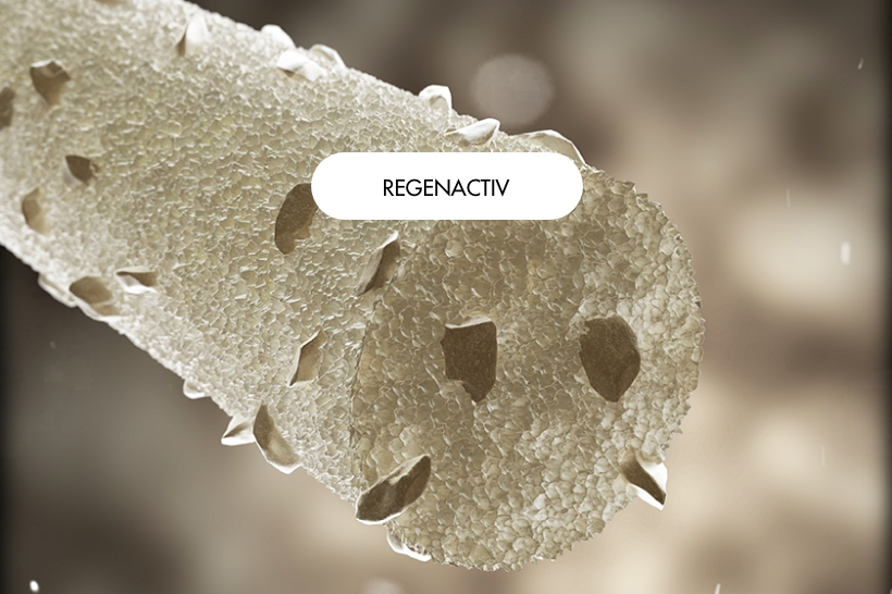 Fibra Regenactiv